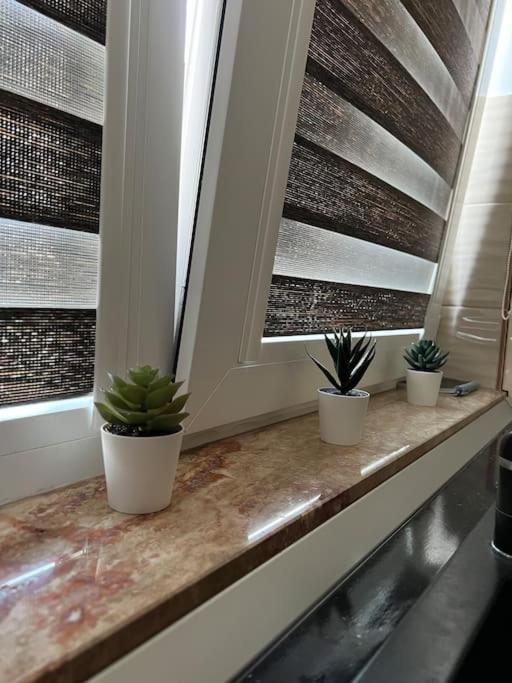 Marului Residence Bukarest Kültér fotó